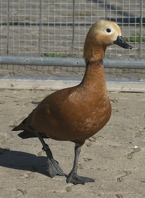 史长河中