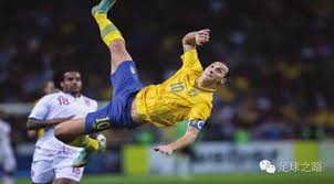 袍的阿莱 袍的阿莱