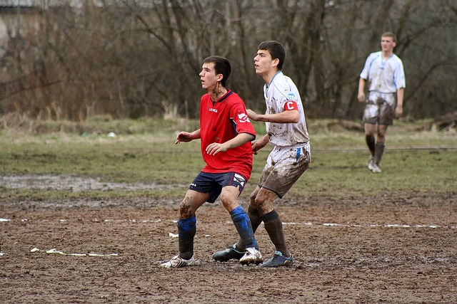 当面对猛龙 当面对猛龙