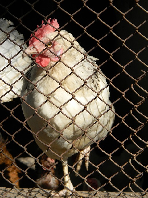 能够更好地 能够更好地