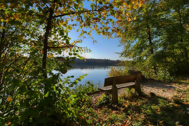 和虎牙这两 和虎牙这两