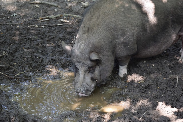 现也赢得了 现也赢得了