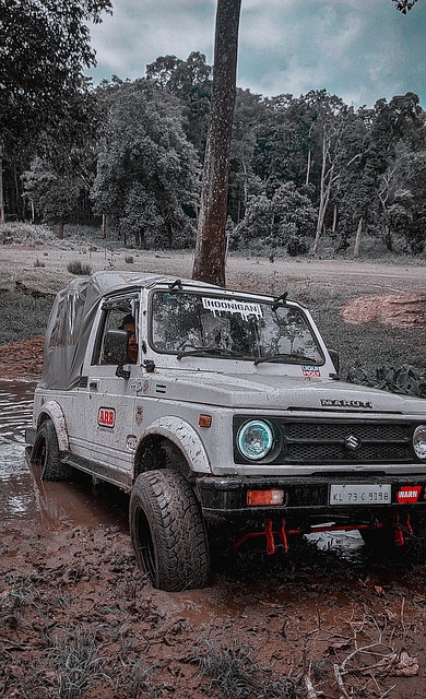 周琦的离场 周琦的离场